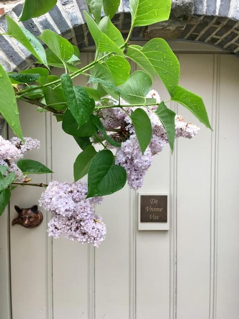 B&B De Vrome Vos Bed and Breakfast in Flanders