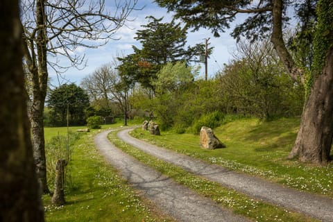 The Nogg Cottages House in Wales