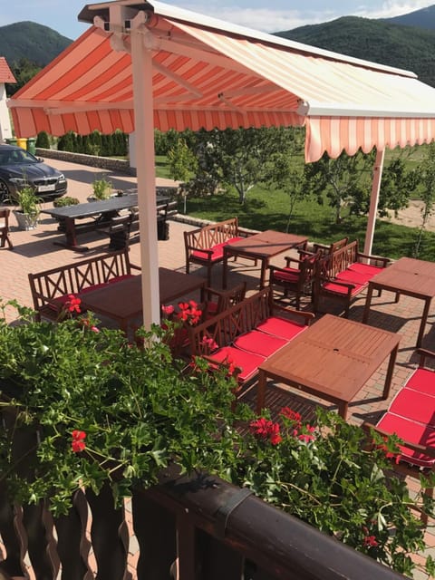 Patio, Garden, Balcony/Terrace