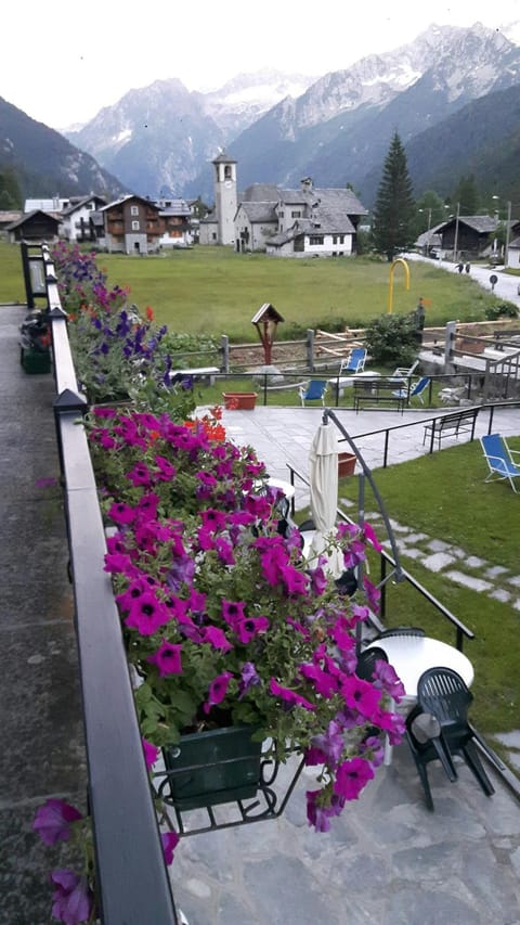 Garden, Mountain view