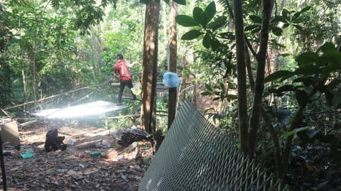 Tampat do Aman Capanno nella natura in Sabah