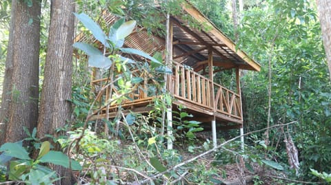 Tampat do Aman Lodge nature in Sabah