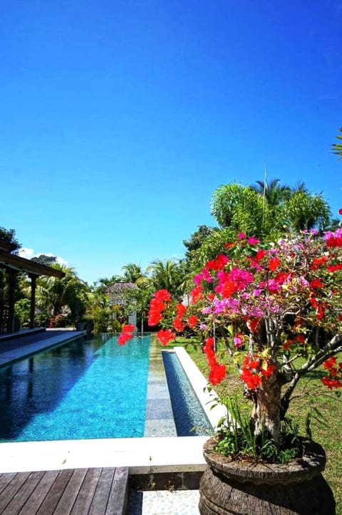 Garden, Swimming pool