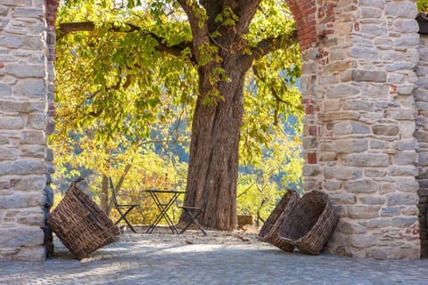 Patio, Garden, Landmark view