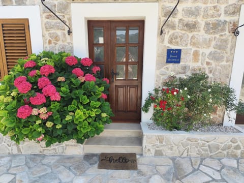 Facade/entrance, Garden