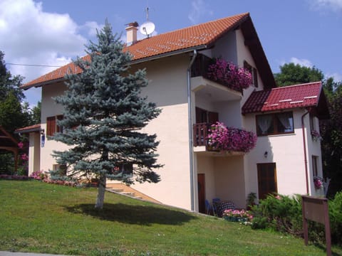 Property building, Day, Garden