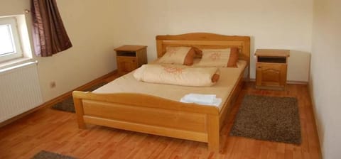 Pensiunea Rodica Bed and breakfast in Timiș County