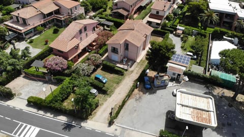 Bird's eye view, Garden view