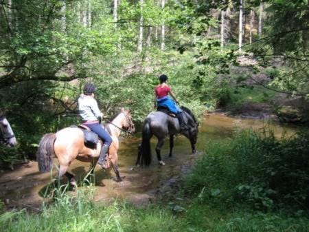 Spring, Horse-riding