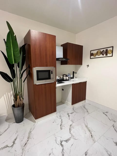 Kitchen or kitchenette, minibar, oven