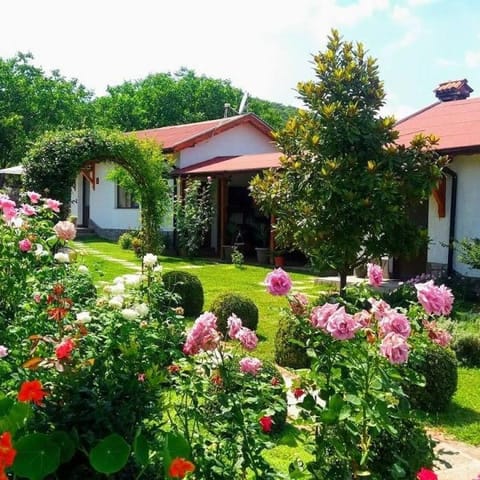 Guest House Raiski Kаt Bed and Breakfast in Evros, Greece