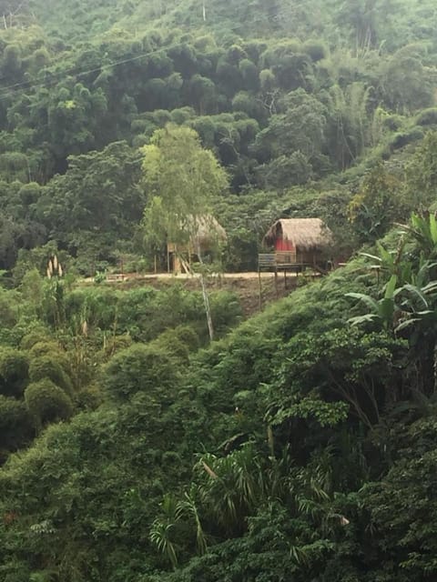 Miradores Del Oso Perezoso Farm Stay in Magdalena, Colombia