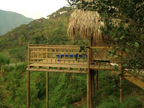 Miradores Del Oso Perezoso Farm Stay in Magdalena, Colombia