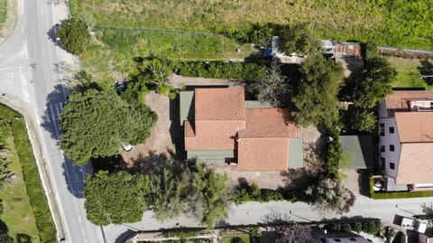 Bird's eye view, Garden, Garden view