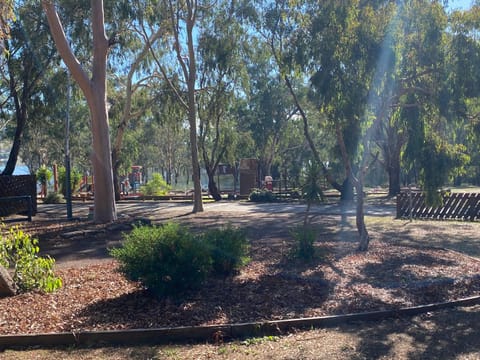 Natural landscape, Garden, Garden view