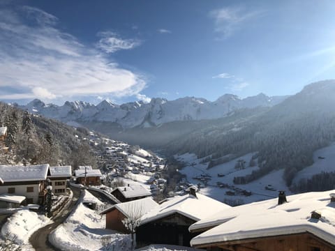 Chalet Soleya Chalet in Le Grand-Bornand