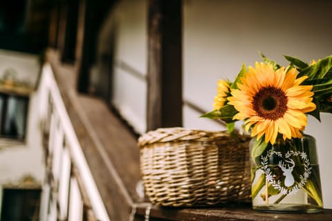 Dandl-Hof inkl. Chiemgaukarte Farm Stay in Ruhpolding