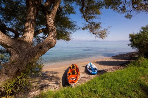 Beach, Canoeing, Sports