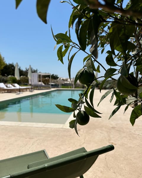 Day, Garden, Garden view, Pool view, Swimming pool