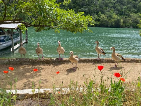 Lake Austin Spa Resort - All Inclusive Resort in Lake Austin