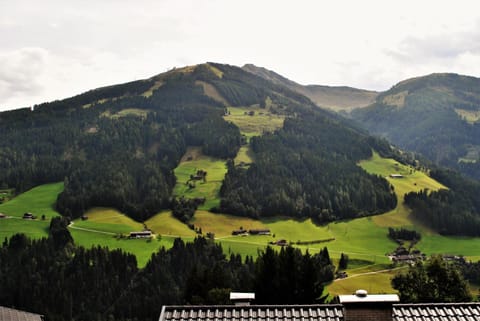 Ferienwohnungen H&P Condo in Alpbach