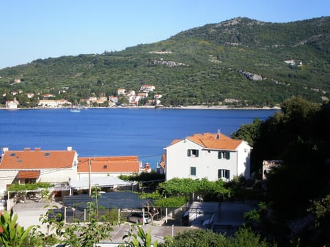 Property building, Bird's eye view