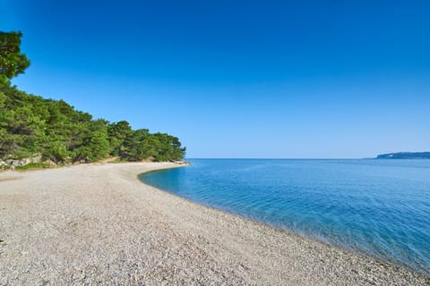 Natural landscape, Beach