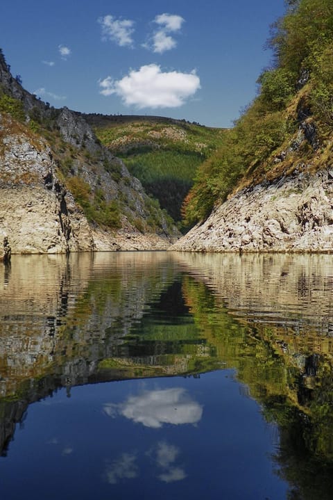 Natural landscape, Fishing, Diving