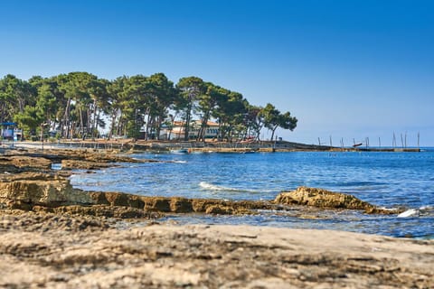 Natural landscape, Beach