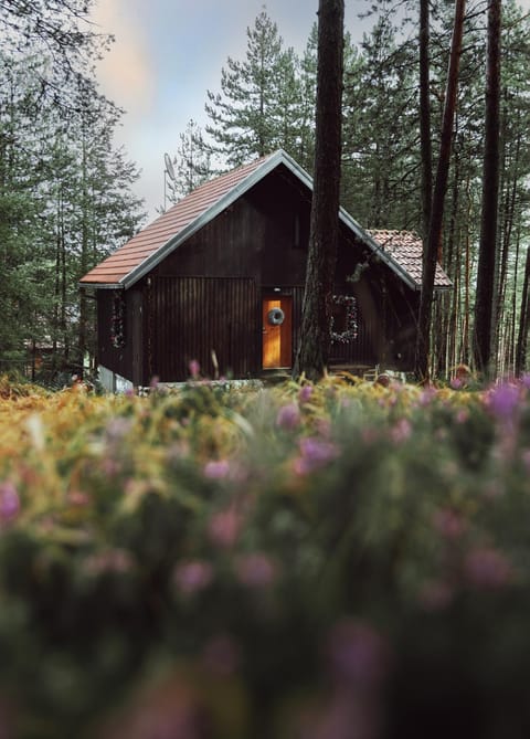 Property building, Spring, Day, Garden, Garden view