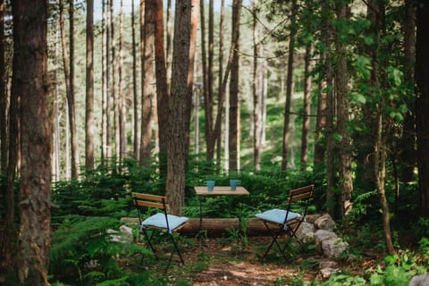 Patio, Garden