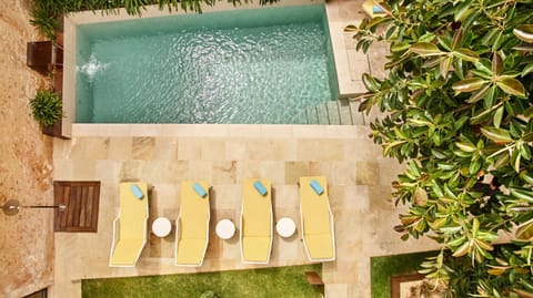 Bird's eye view, Garden, Swimming pool