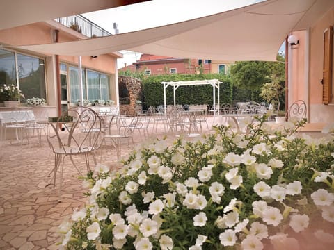 Patio, Garden