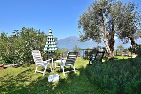 Patio, Garden, Garden view