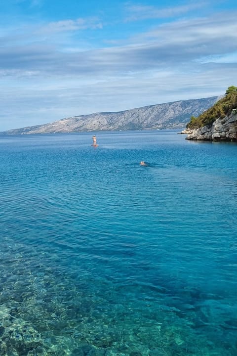 Seaside secluded apartments Cove Tatinja, Hvar - 5729 Condo in Stari Grad