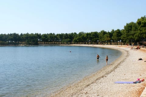 Apartments with a swimming pool Novigrad - 7078 Eigentumswohnung in Novigrad