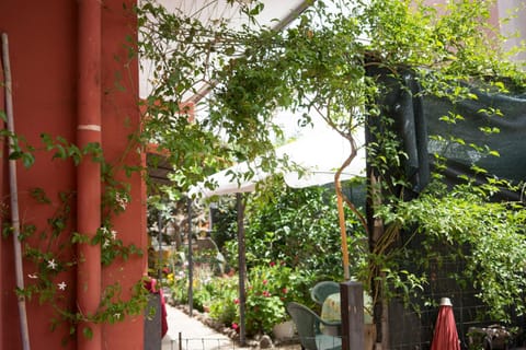 Patio, Garden, Balcony/Terrace