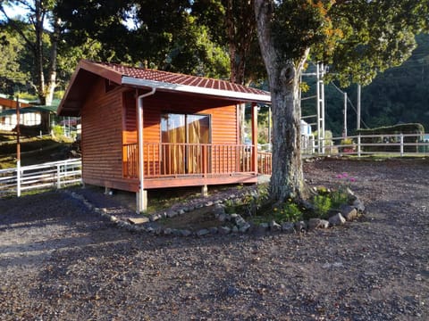 Patio, Facade/entrance, Garden