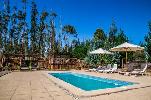 Bird's eye view, Swimming pool, Swimming pool