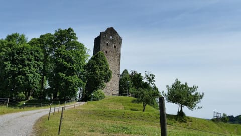 Ferienwohnung-Burgblick-in-Neuravensburg Copropriété in Wangen im Allgäu