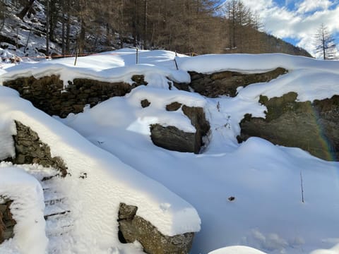 Natural landscape, Winter