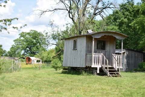 Property building, Garden, Garden view