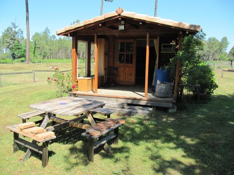 Patio, Garden