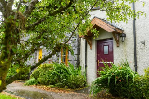 Property building, Neighbourhood, Garden view, Street view