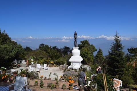 Garden, Mountain view