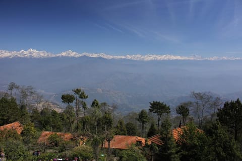 Garden, Mountain view