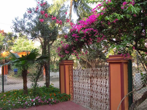 Facade/entrance, Garden view