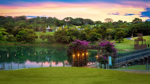 Lake view, Sunset