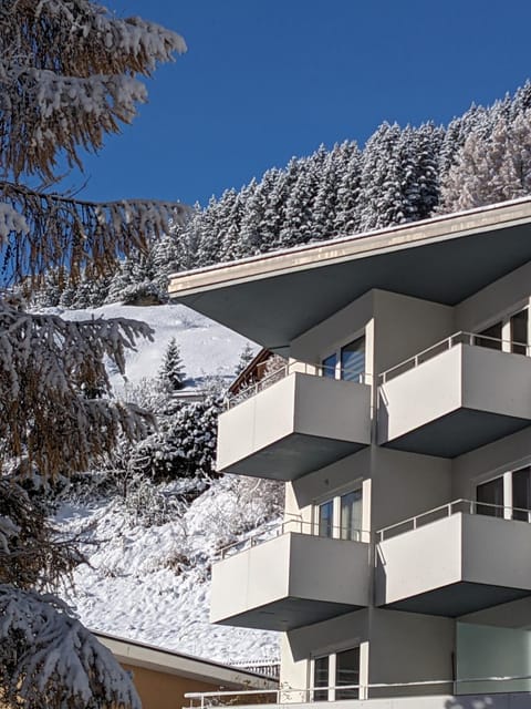 Haus Zervreila Wohnung in Vals