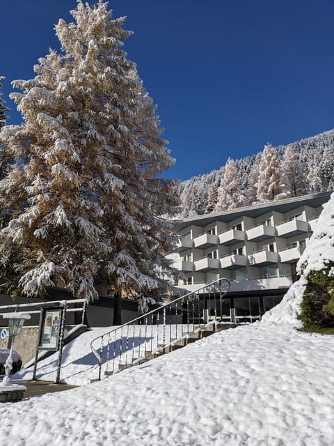 Haus Zervreila Wohnung in Vals